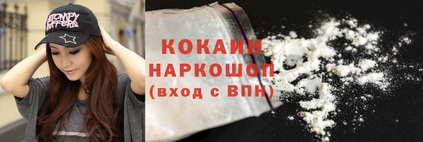 mix Ельня