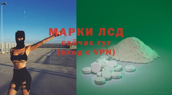 ECSTASY Елизово