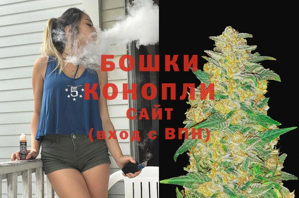 mix Ельня