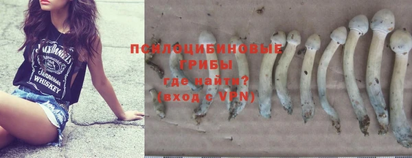 spice Елабуга